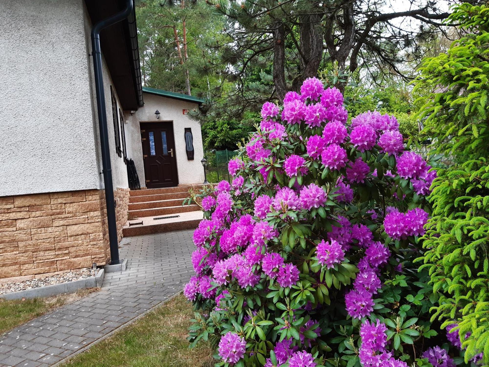 Chata Rynartice 7 Jetřichovice Exterior foto
